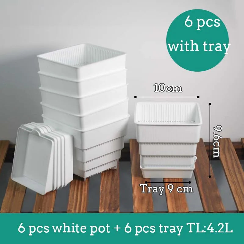 White 10 cm succulent plastic pots with matching tray, 6 pots