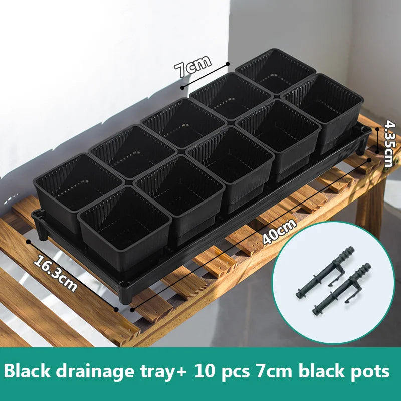 Black succulent pot set with drainage tray and ten ribbed square pots, 7 cm each