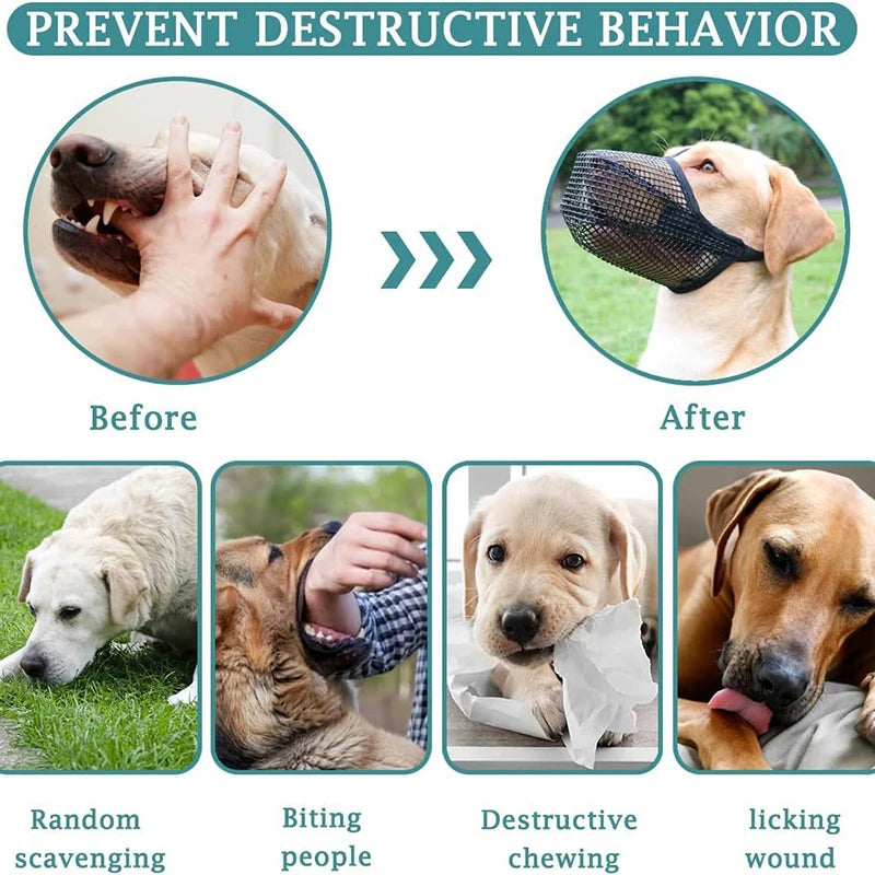Adjustable black breathable mesh dog muzzle to prevent biting, chewing, and licking for safe pet behavior training.
