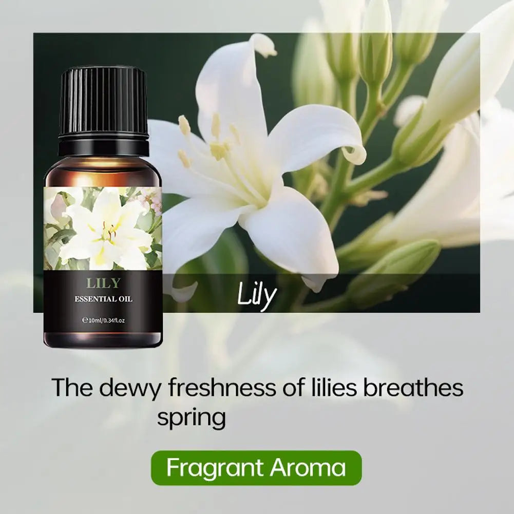 Aromatherapy Essential Oil 10ml Lemon Eucalyptus Lavender Eucalyptus Jasmine Rose Mint Orange Aroma Essential Oil