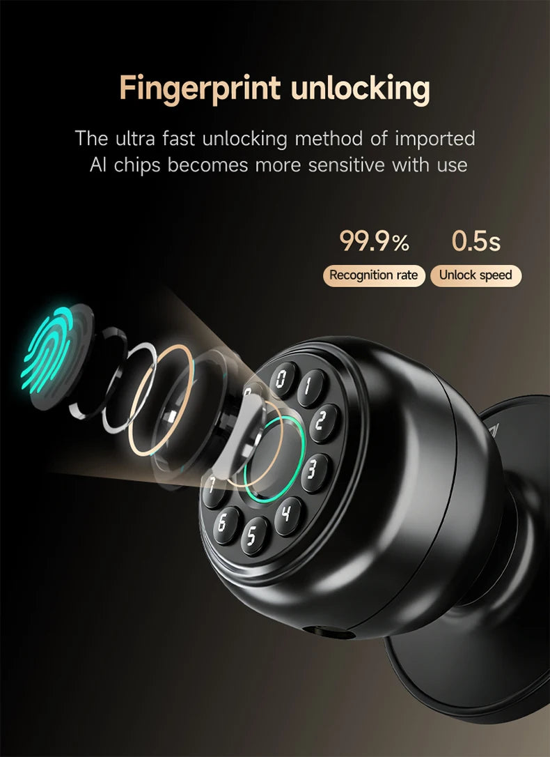 ICCSSI K10CPLUS Smart Lock Tuya Spherical Door Lock Tuya Fingerprint Password Key 4-in-1 Unlock for Airbnb Home Aluminum Alloy