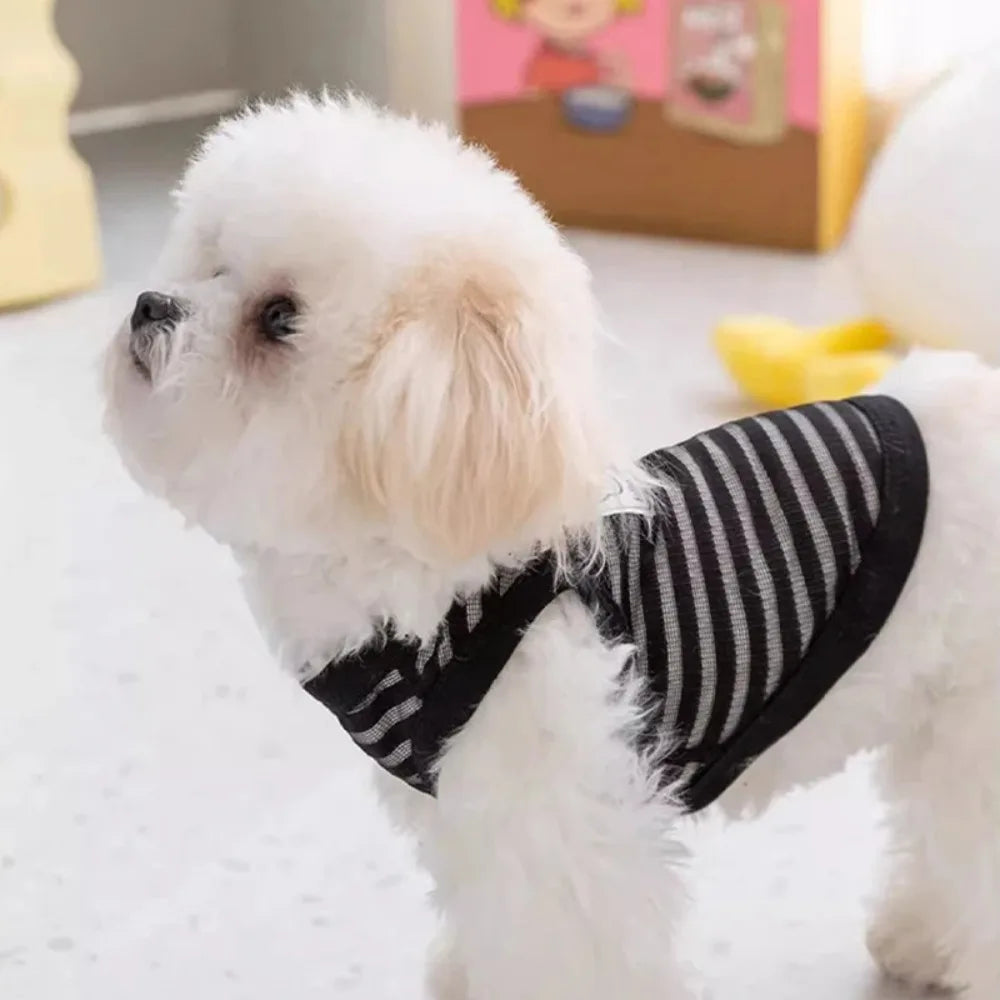 Small dog wearing a breathable black and white striped cooling vest for summer, comfortable casual pet shirt.