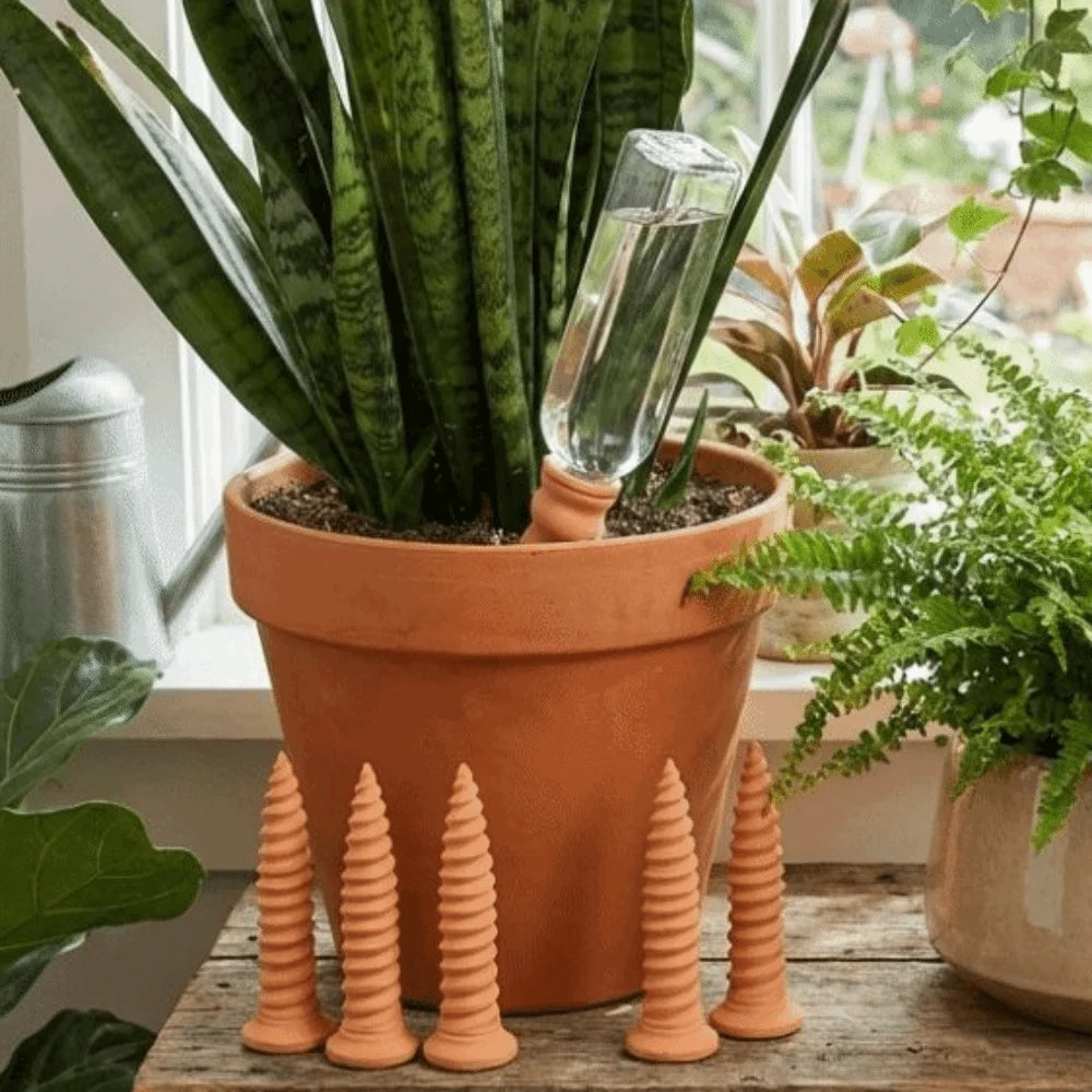 Set of terracotta self-watering stakes with clear tubes, standing in an outdoor plant pot