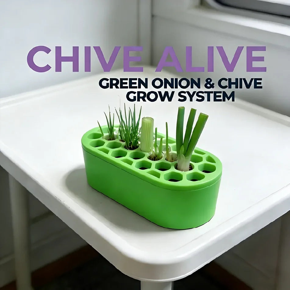Green Onion Regrow Kit Easy Home Gardening for Balcony Windowsill Fast Regrowth Continuous Harvest