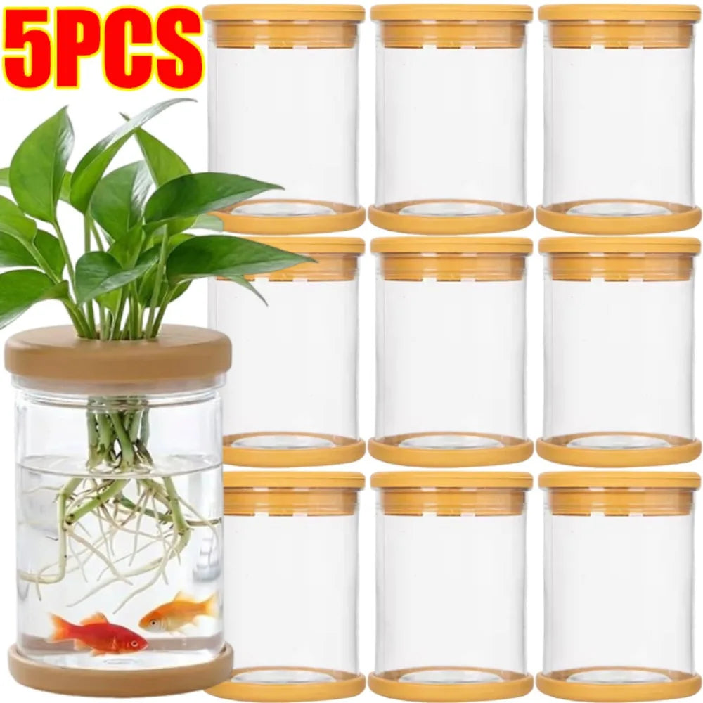 Set of 5 clear glass hydroponic pots with orange lids and top stoppers