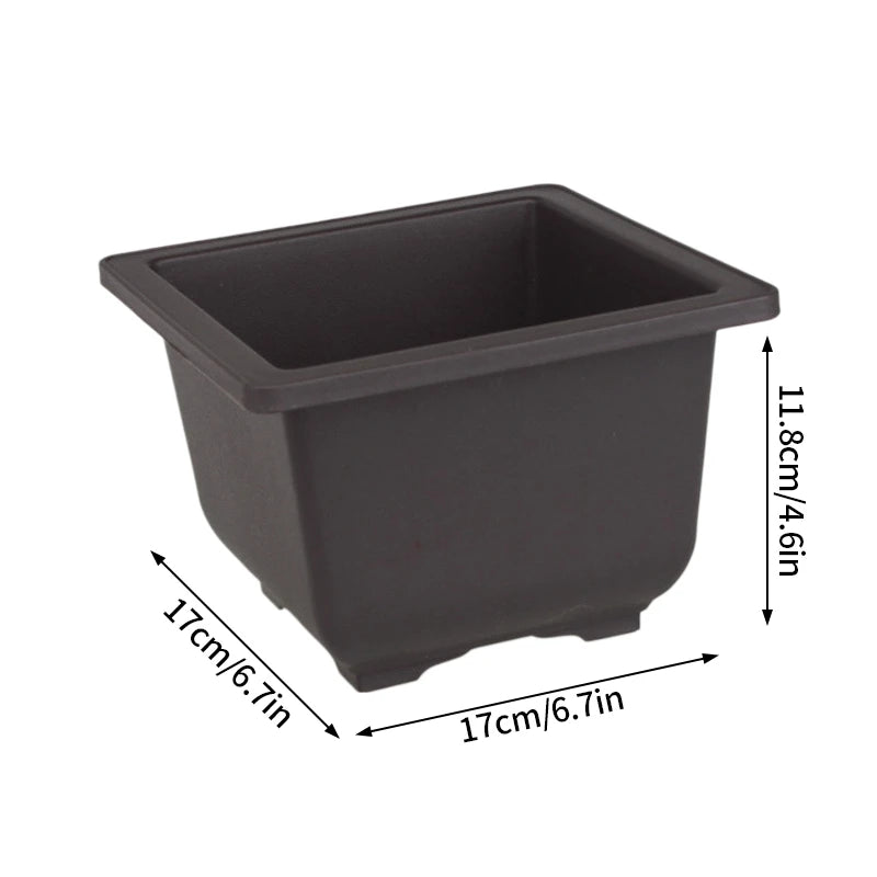 Square bonsai planter pot in dark plastic, upright sides and open planting top