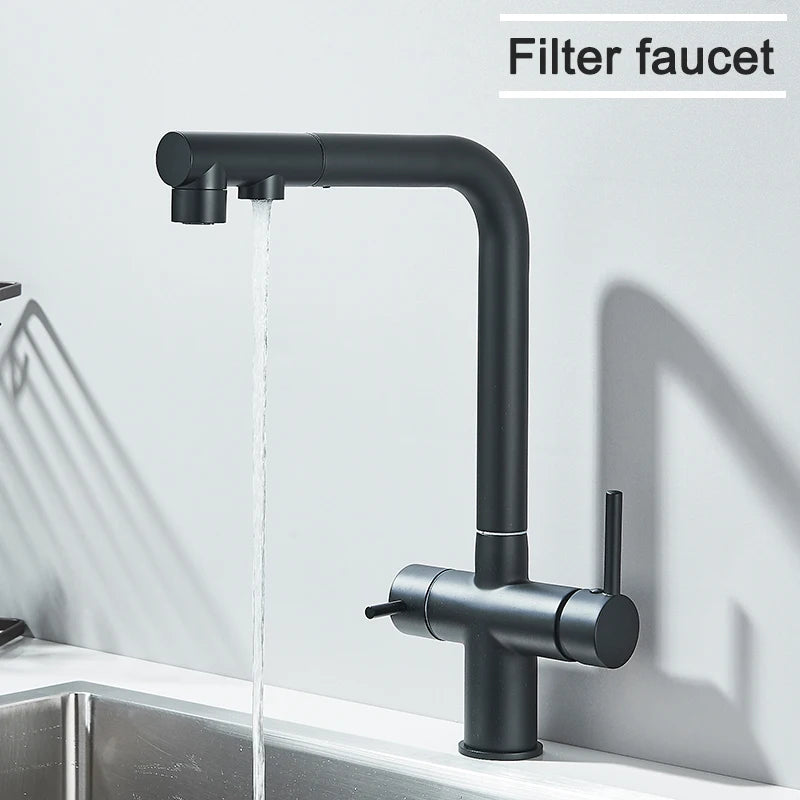 Black Water Purifier Kitchen Faucet 2 In 1 Pull Out Flexible Hot and Cold Water Mixer Tap with Filter Nozzle Faucets