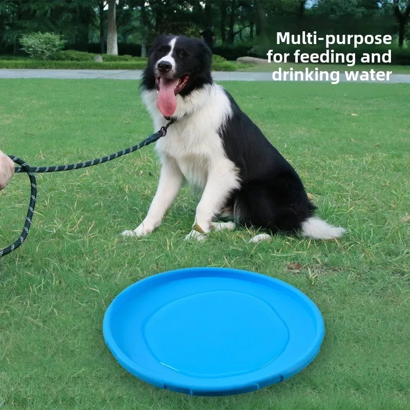 22cm blue silicone dog frisbee used as an interactive outdoor flying disc toy for water and feeding.