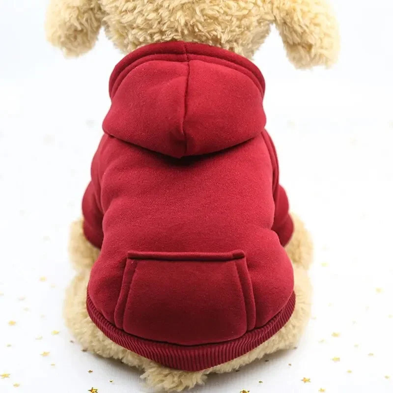 Small dog wearing a cozy, thickened red hooded sweater with a pocket for warm autumn and winter pet fashion.