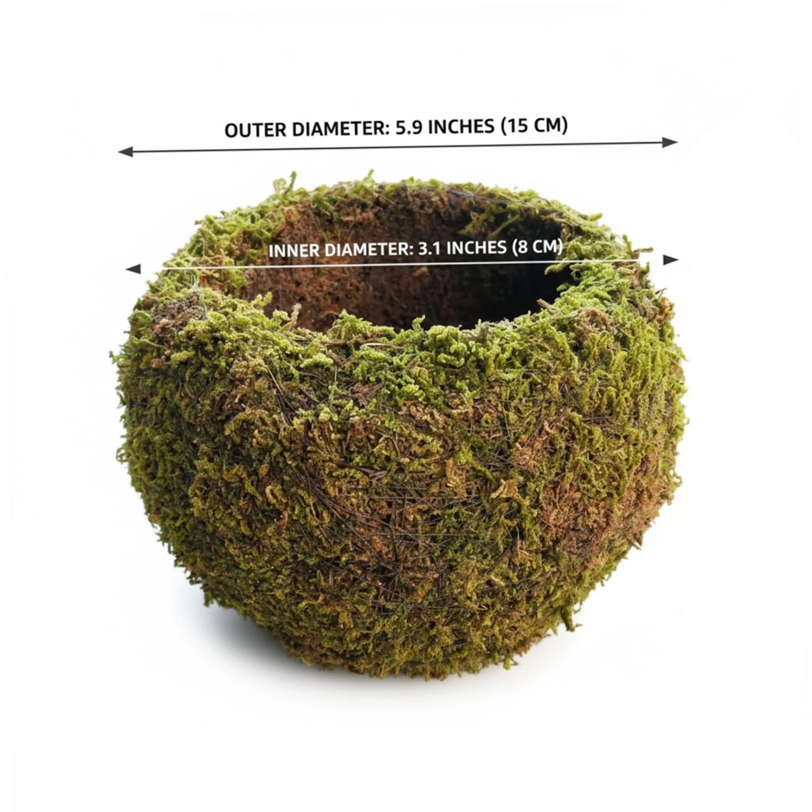 Green moss ball planter with open top and size measurement arrows, round container.