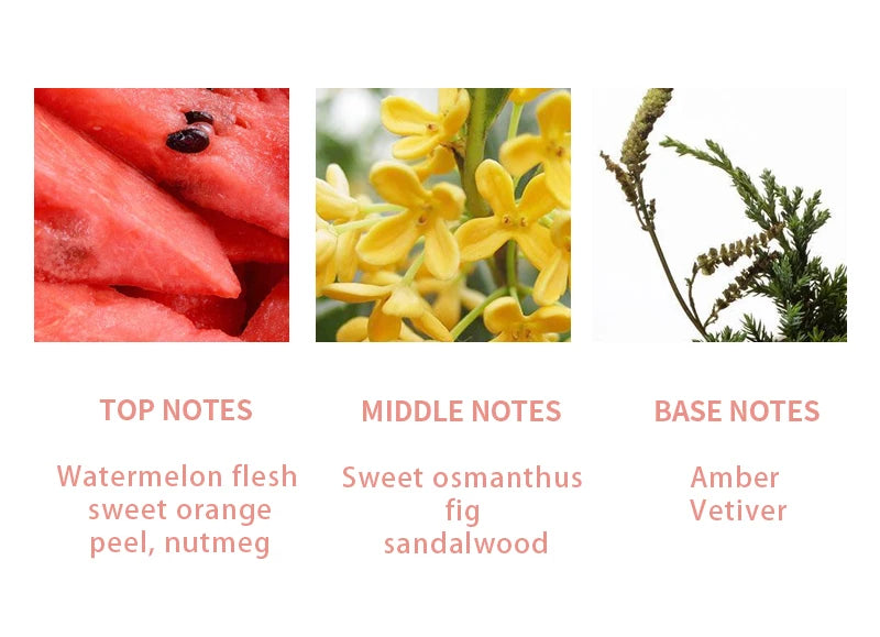 Marcas Originales Summer Fresh Pea perfume for women: Watermelon, osmanthus, and amber citrus scent notes graphic.