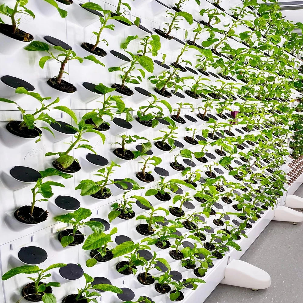 For Hydroponics Drainage Pots Flower Pot Indoor Gardening Setup As Shown Air Circulation Flower Pot Hydroponics