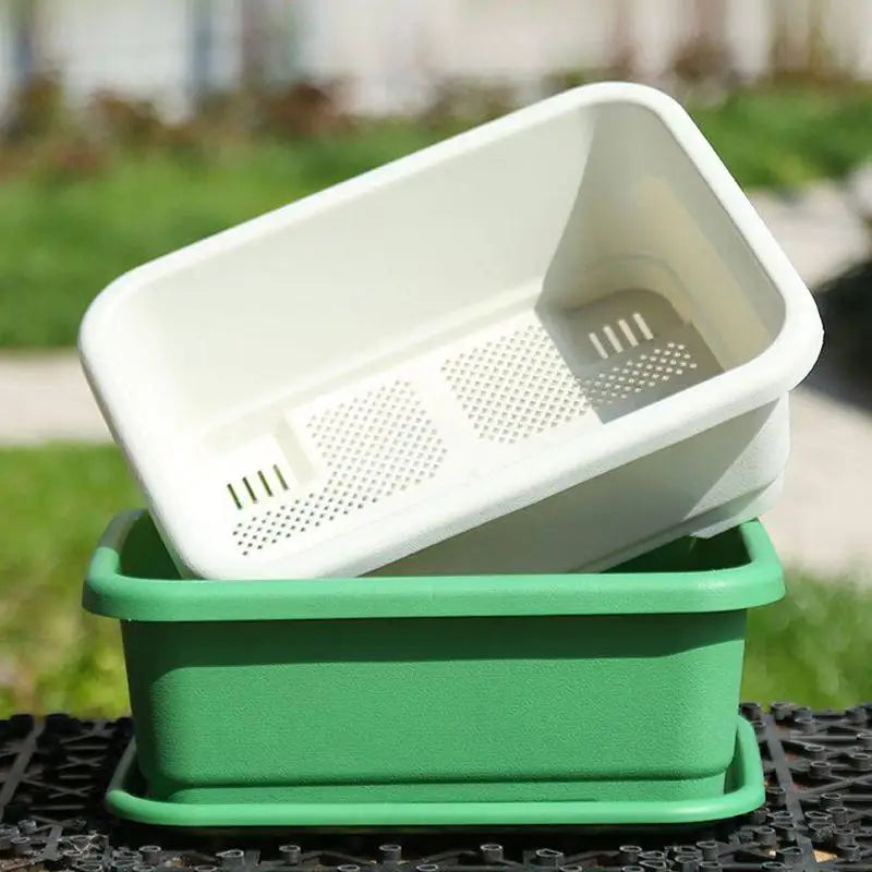 White rectangular planter basket with perforations sitting in green tray