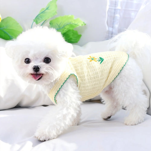 Light yellow knitted dog dress with thin straps and green trim, flower detail