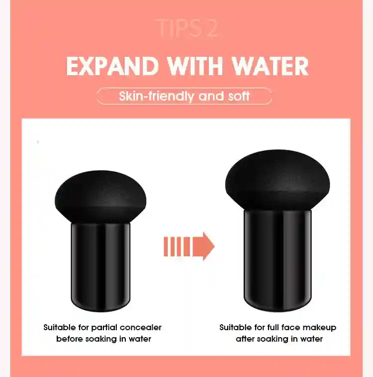 Tidesmit Mushroom Air Cushion BB cream providing nourishing face makeup coverage with moisturizing concealer fluid