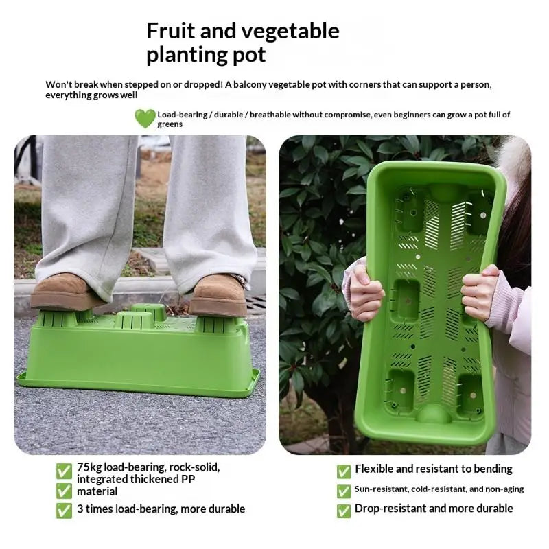 Green self-watering planter box with soil-ready planting slots for fruit and vegetable growing