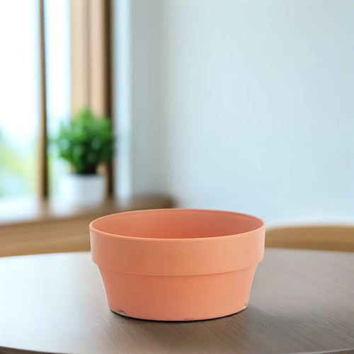 Small shallow terracotta-orange plastic planter with wide rim for succulents
