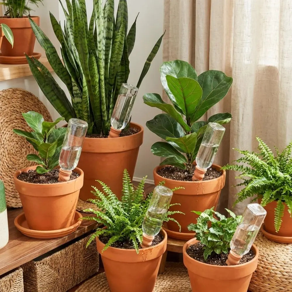 Terracotta self-watering plant stakes with clear reservoirs, inserted in potted plants