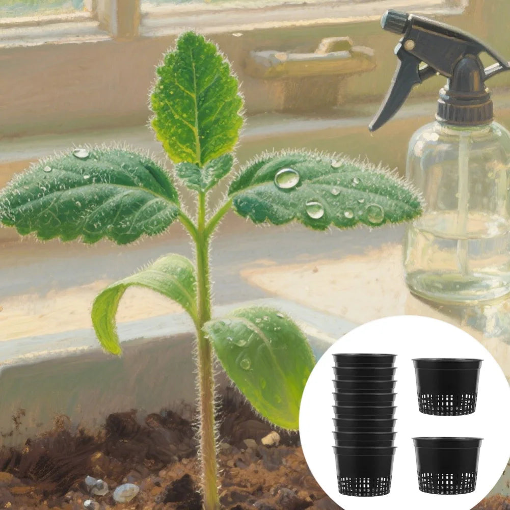 For Hydroponics Drainage Pots Flower Pot Indoor Gardening Setup As Shown Air Circulation Flower Pot Hydroponics