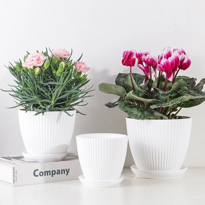 Set of ribbed plastic white plant pots with trays, styled with pink flowers