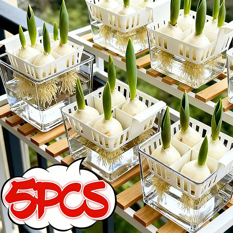 5/1PCS 4 Grids Flower Pot for Hydroponic Tulips Acrylic Breathable Hydroponic Containers for Indoor Gardening Planting Container