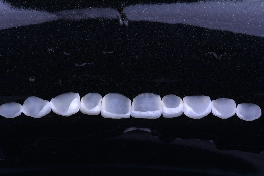 20PCS Lithium Disilicate Glass Ceramic Blocks CAD CAM Sirona Cerec LODDEN C14 Dental Lab HT LT MT Veneer Dentist Materials