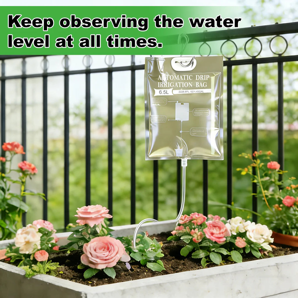 Hanging automatic drip irrigation watering bag with white tubing over a rose flower bed