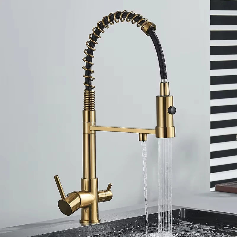 Filtered Kitchen Faucets Dual Spout Filter Faucet Mixer Pull Out Spray 360 Rotation Water Purification 3 Ways Sink Mixer Kitchen