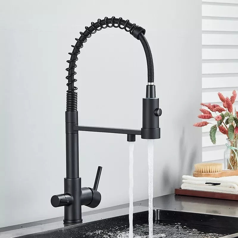 Filtered Kitchen Faucets Dual Spout Filter Faucet Mixer Pull Out Spray 360 Rotation Water Purification 3 Ways Sink Mixer Kitchen