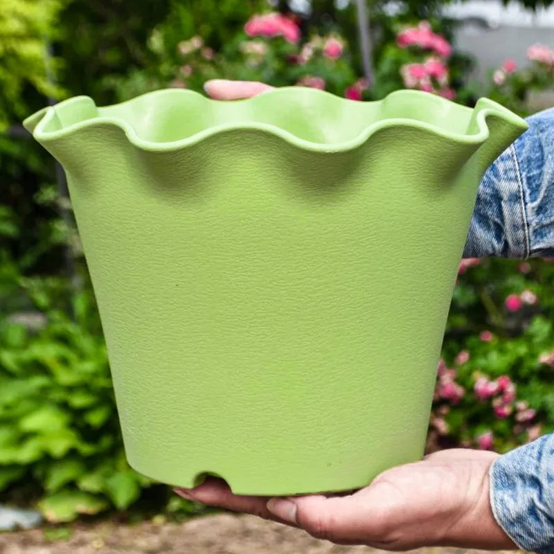 Flower Pot Lotus Leaf Edge Household Thickened Plastic Indoor Balcony Lily Wind and Wave Edge Pot 2pcs (Flower Pots Bases)