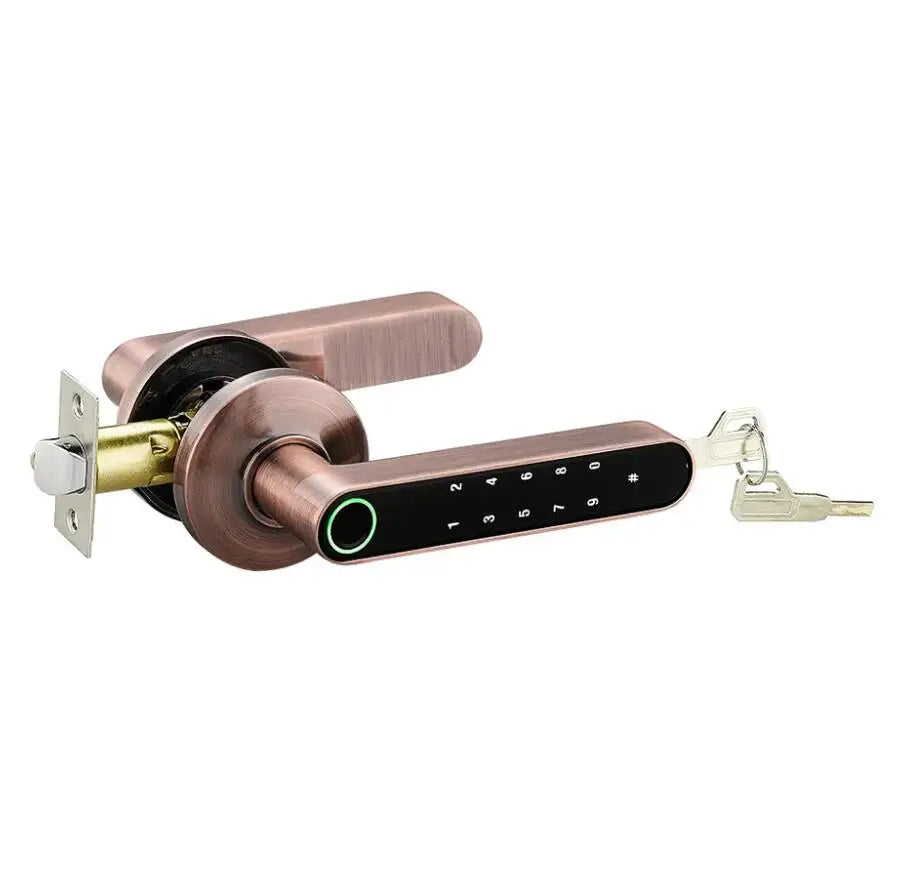 Bluetooth Tuya Smart Fingerprint Lock Lithium Battery Electronic Handle Lock Key For Wooden door