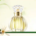 GECOMO Valley White Rose EDP 50ml: Women’s floral perfume in a ribbed glass bottle with a crystal cap. Luxury scent.