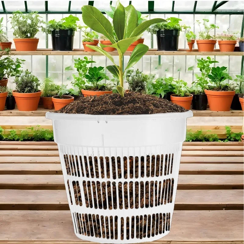 Meshpot Clear Orchid Pots Plastic Orchid Pot with Hole Nursery Flower Breathable Basin Outdoor Planters Gardening Tool Wholesale